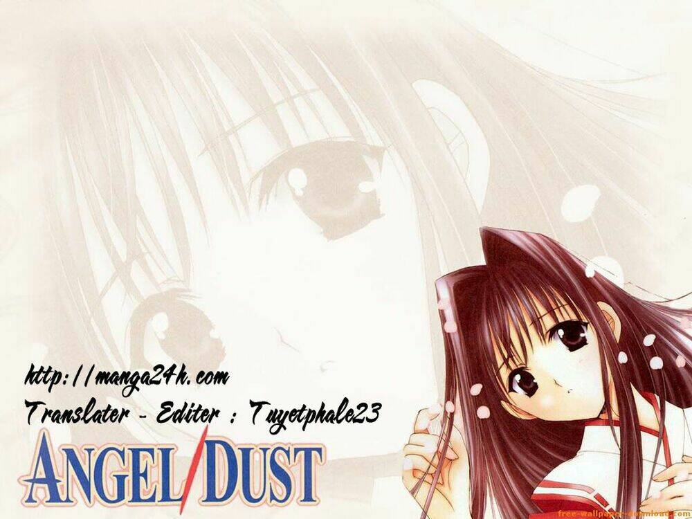 angel-dust/4