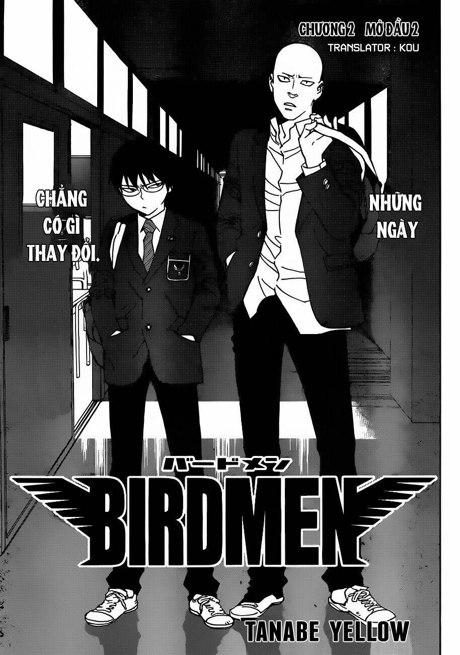 birdmen/4