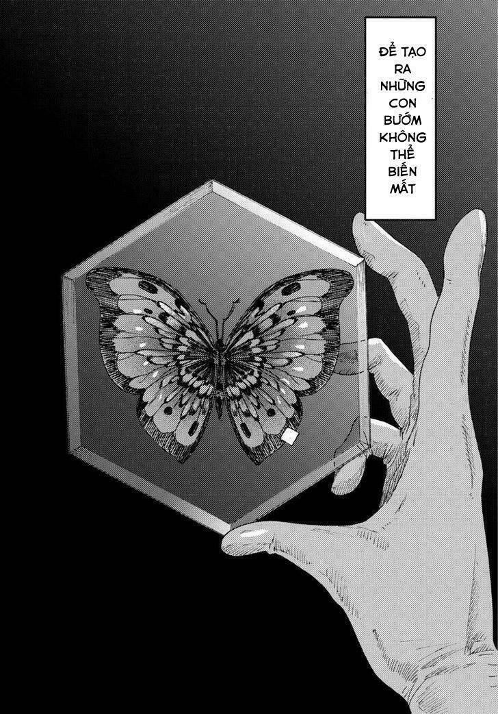 butterfly-storage/5