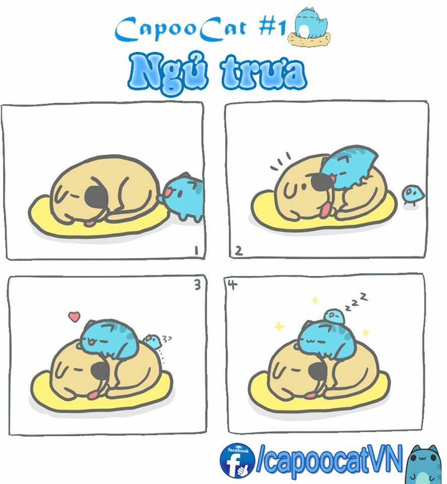 capoo-cat/0