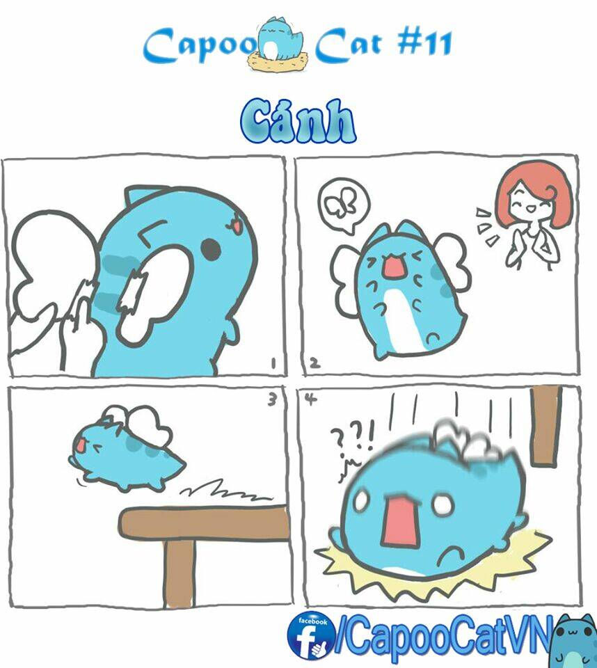 capoo-cat/0