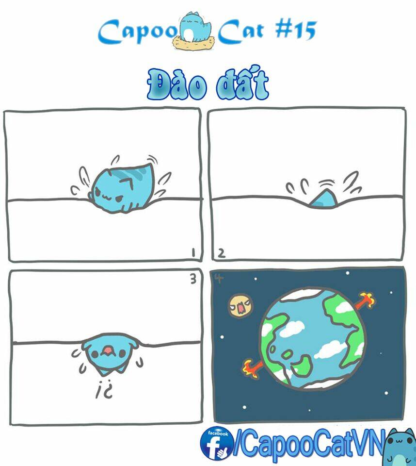 capoo-cat/4