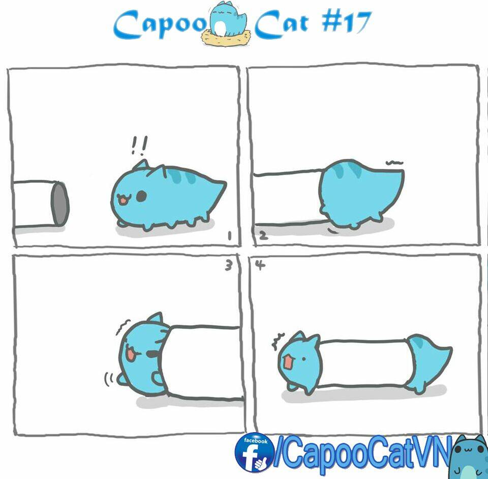 capoo-cat/6