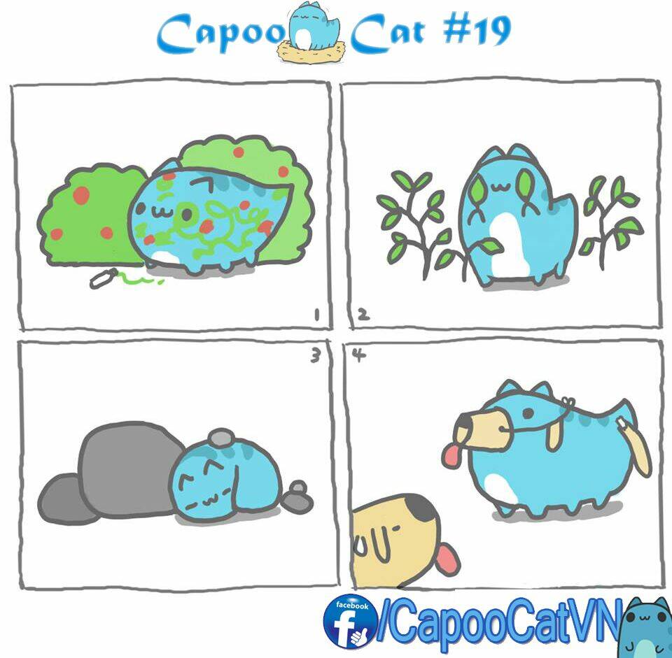 capoo-cat/8