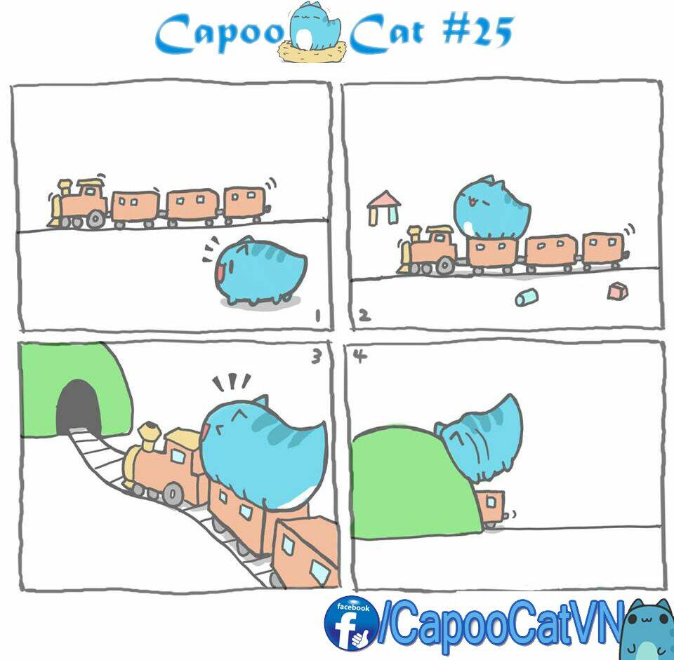 capoo-cat/4