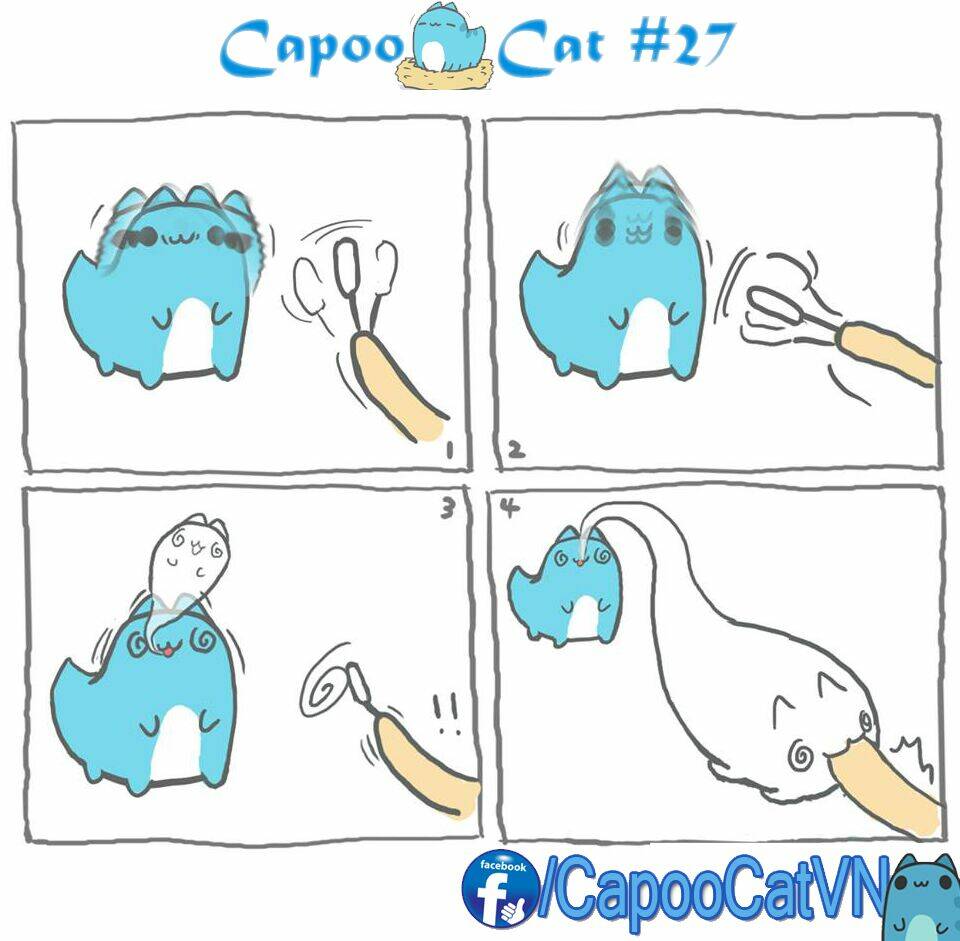 capoo-cat/6