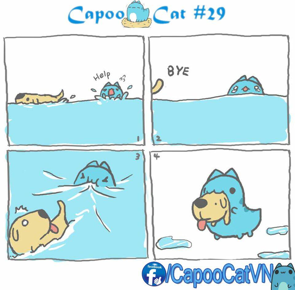 capoo-cat/8