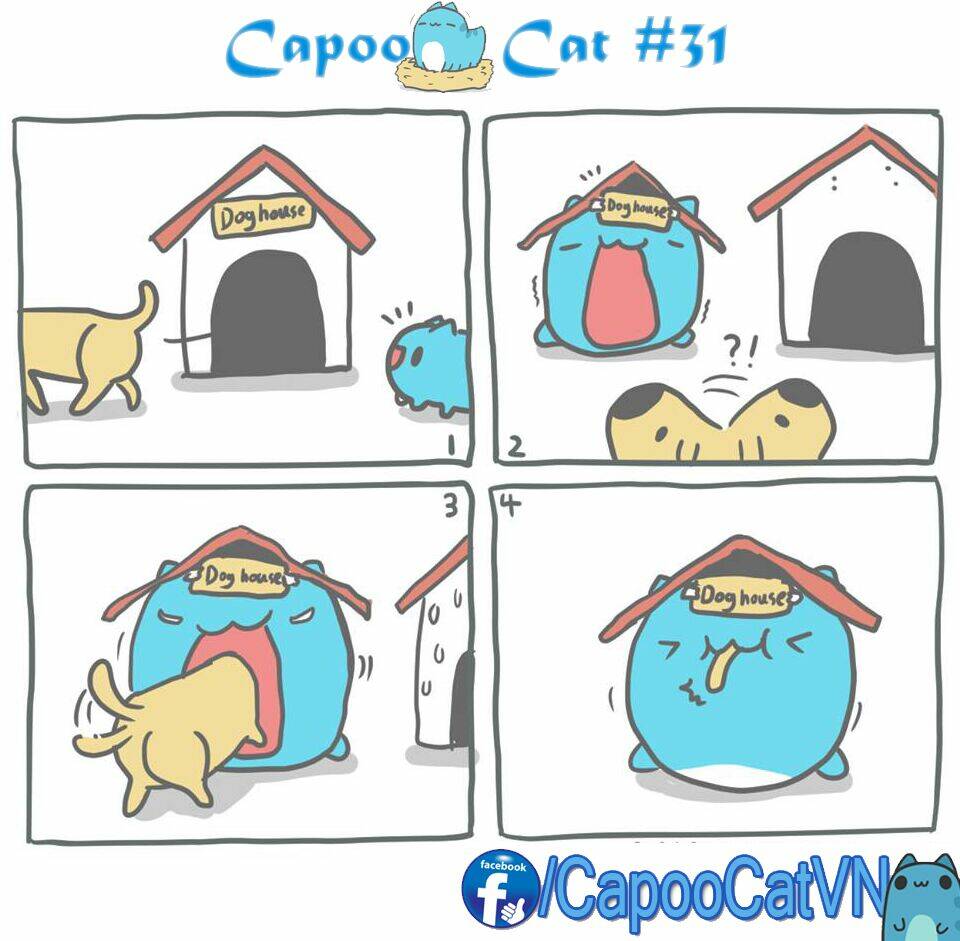 capoo-cat/0