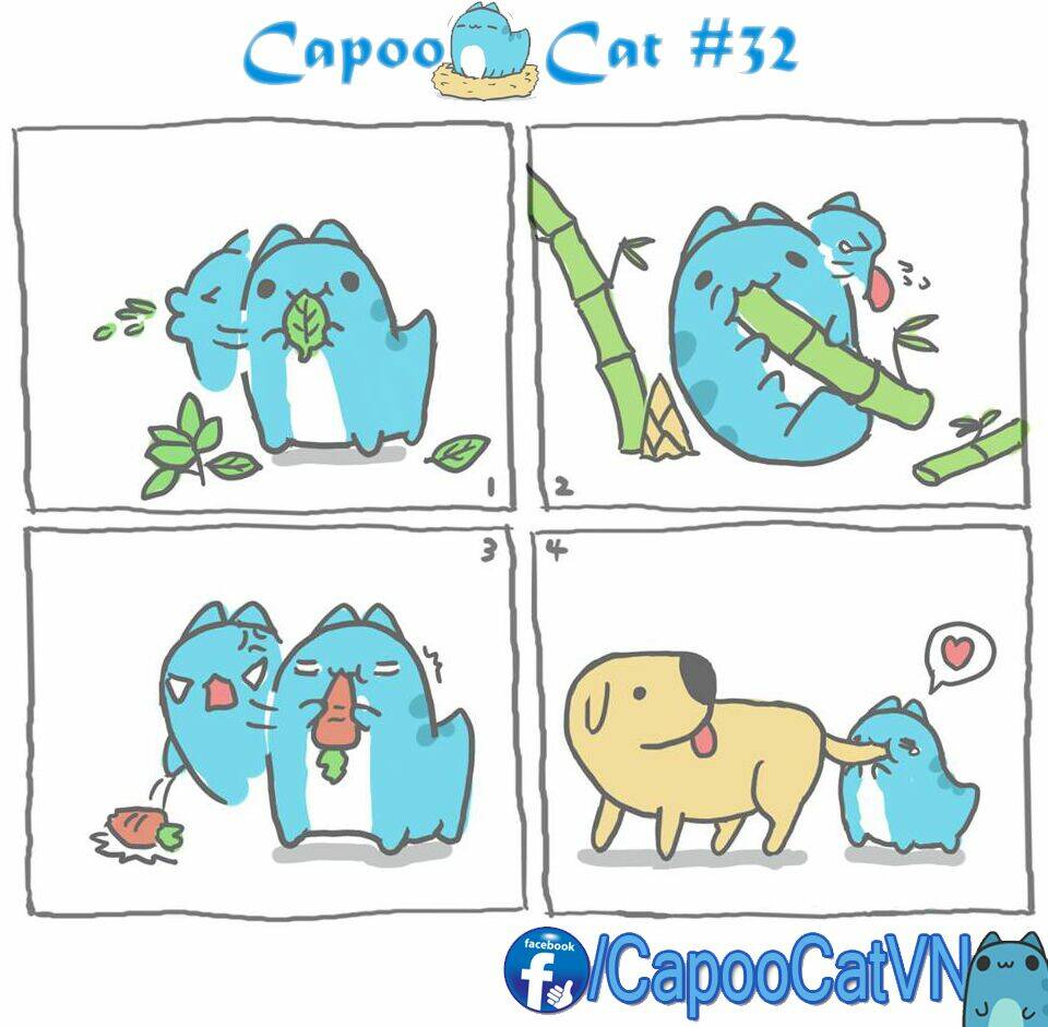 capoo-cat/1