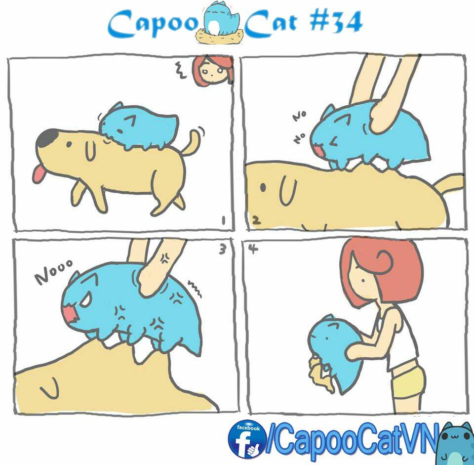 capoo-cat/3