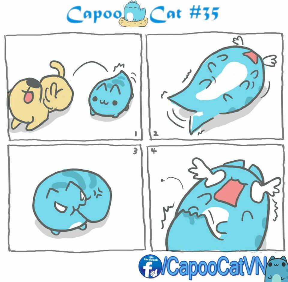 capoo-cat/4