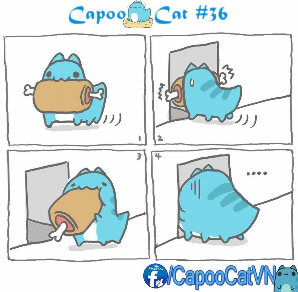 capoo-cat/5