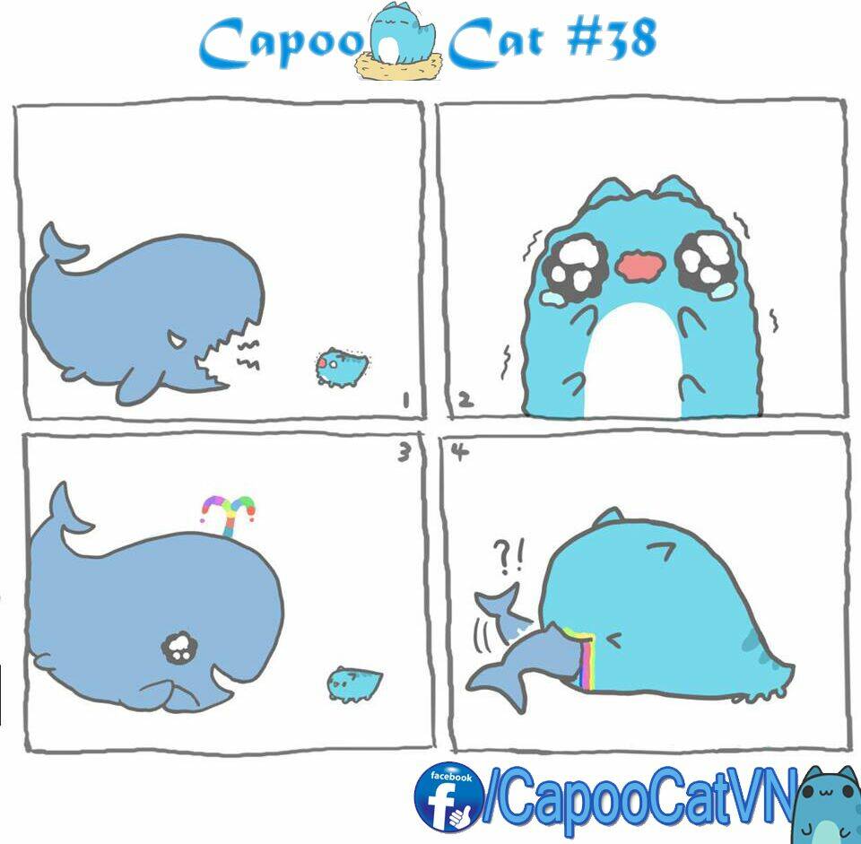 capoo-cat/7