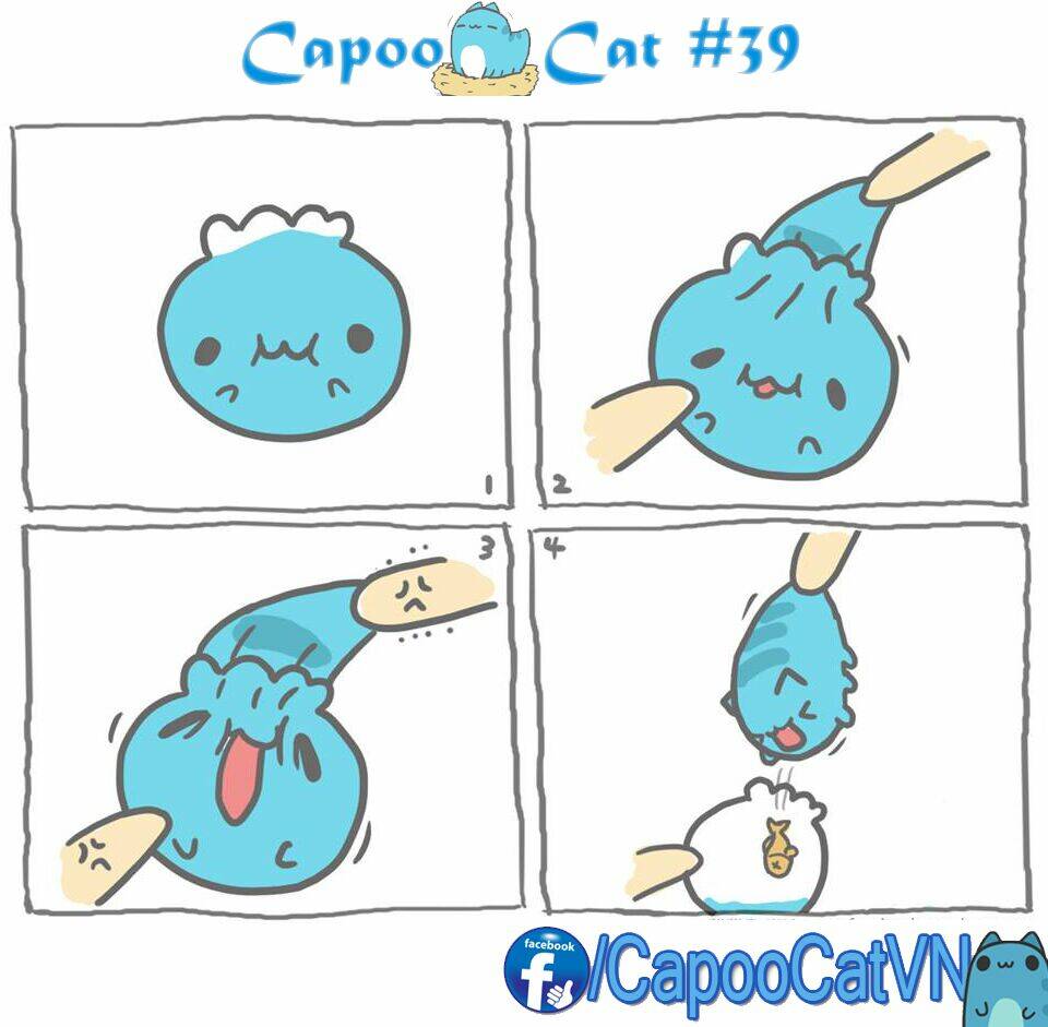 capoo-cat/8