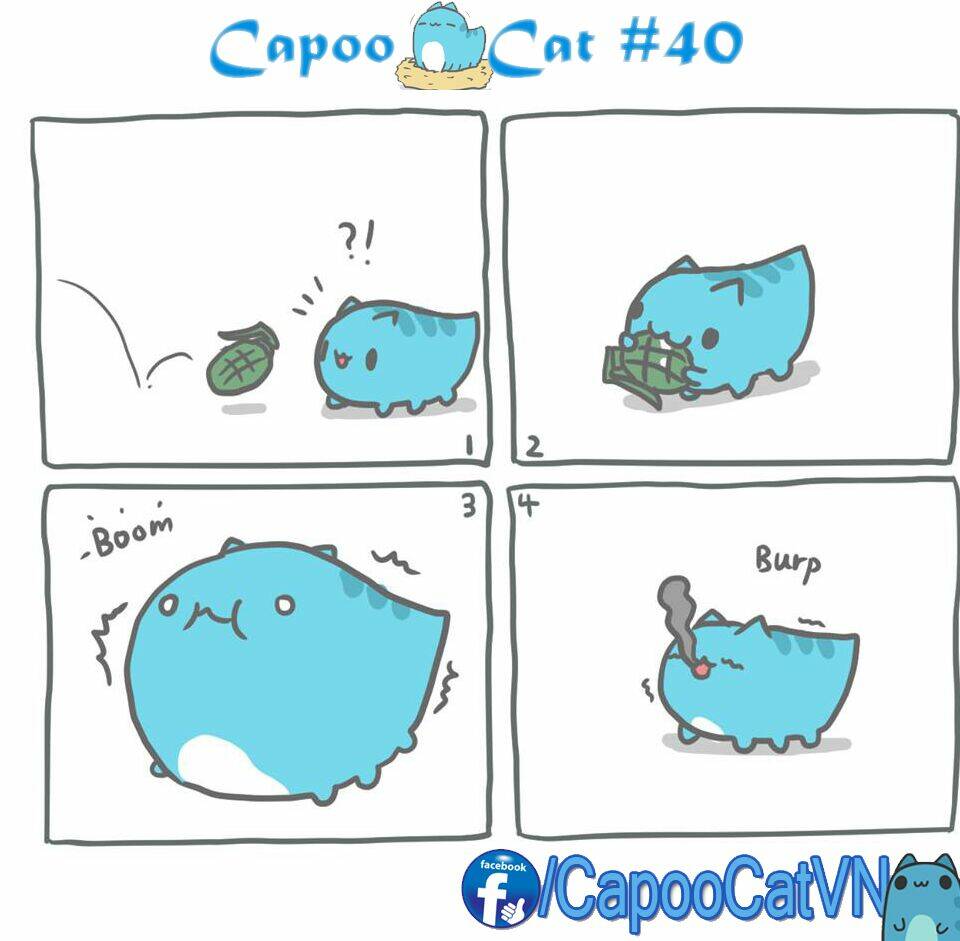 capoo-cat/9