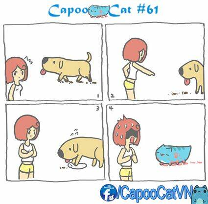 capoo-cat/0