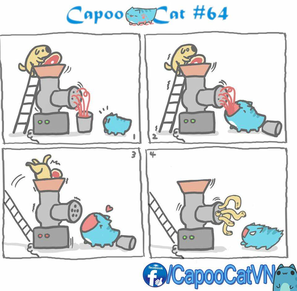 capoo-cat/3