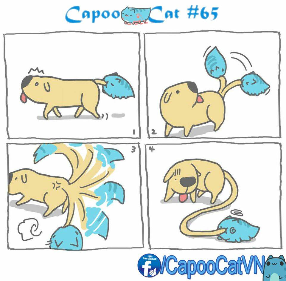 capoo-cat/4