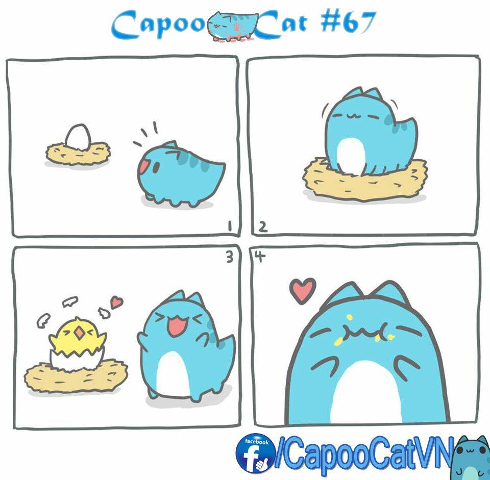 capoo-cat/6