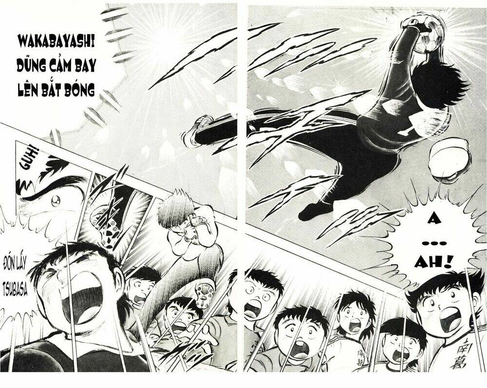 captain-tsubasa/43