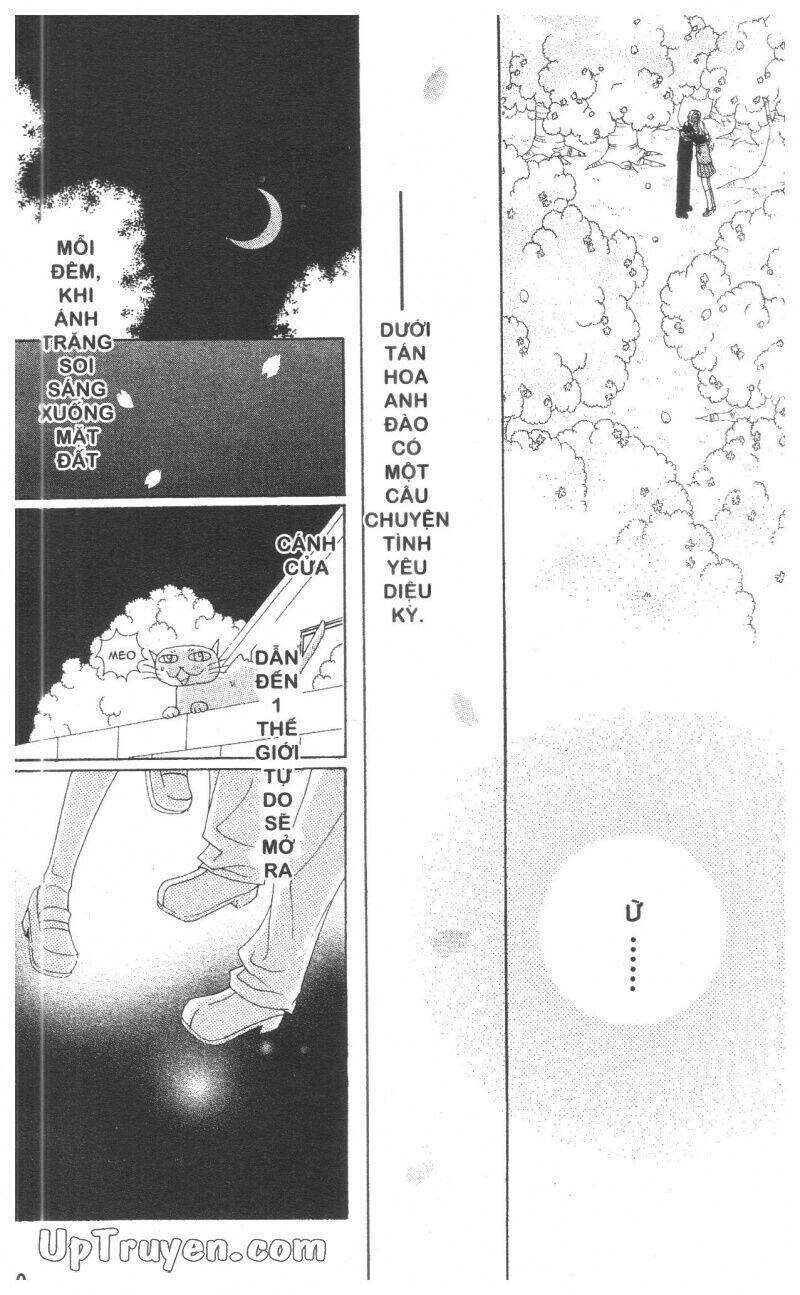 chan-dung-m-n/181