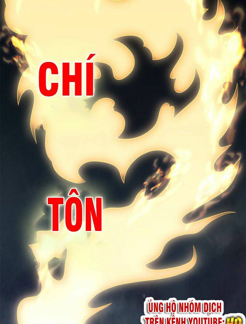 chi-ton-vo-de/13