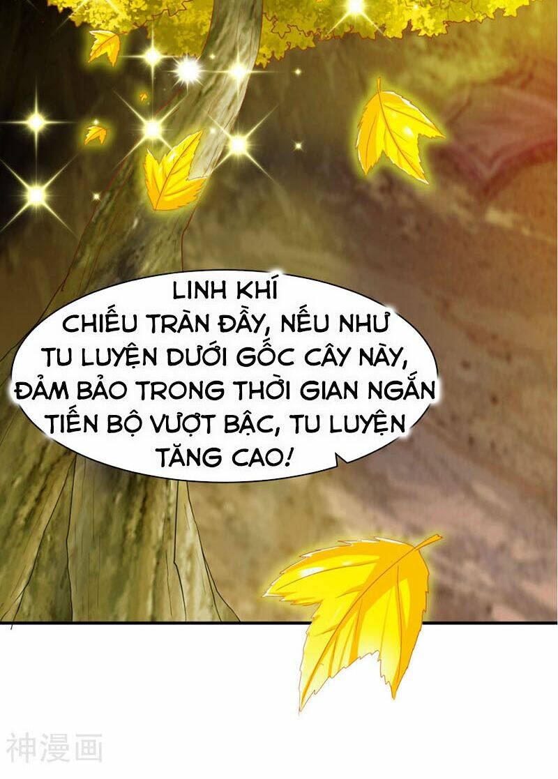 chien-dinh/12