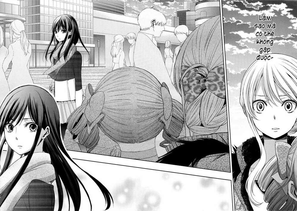 citrus-saburouta/14