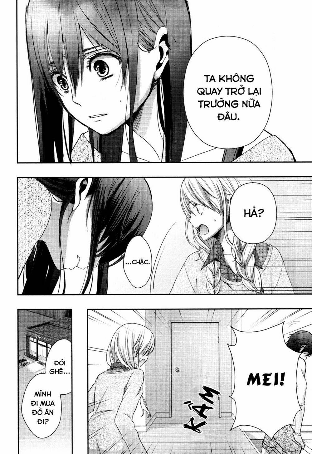 citrus-saburouta/28