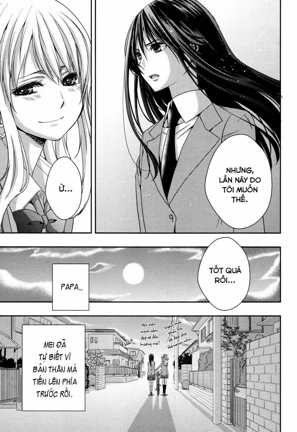 citrus-saburouta/25