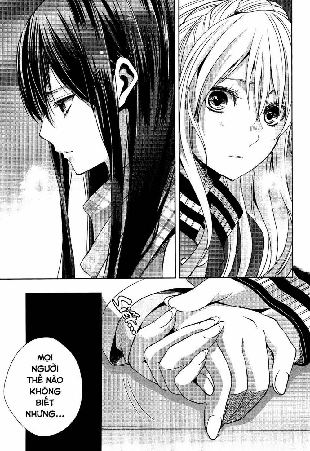 citrus-saburouta/13