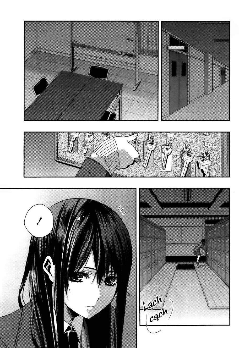 citrus-saburouta/25