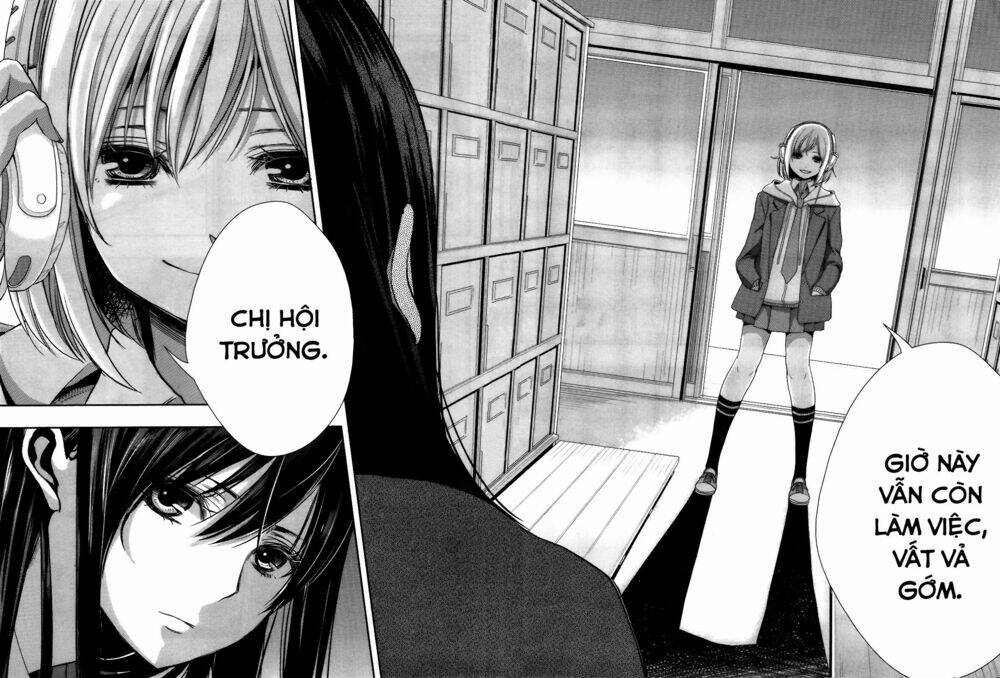 citrus-saburouta/26