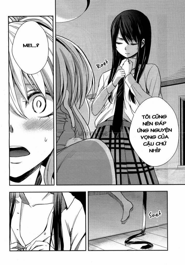 citrus-saburouta/2