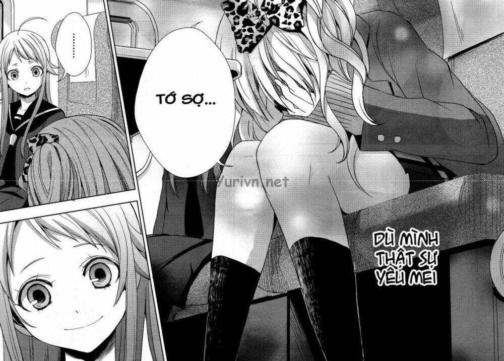 citrus-saburouta/29