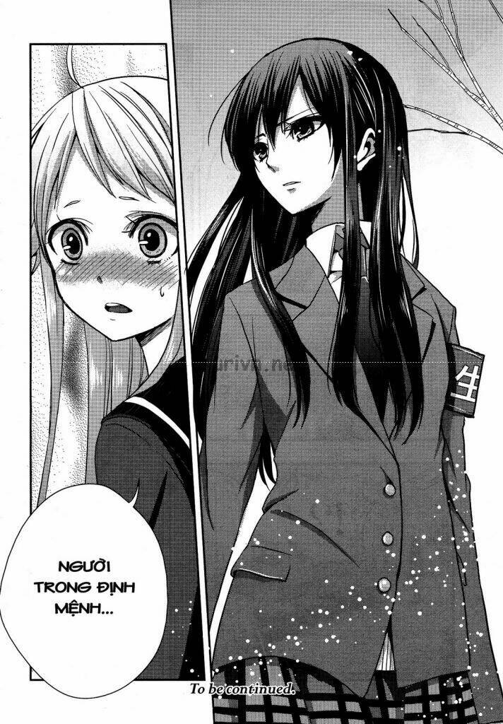 citrus-saburouta/34