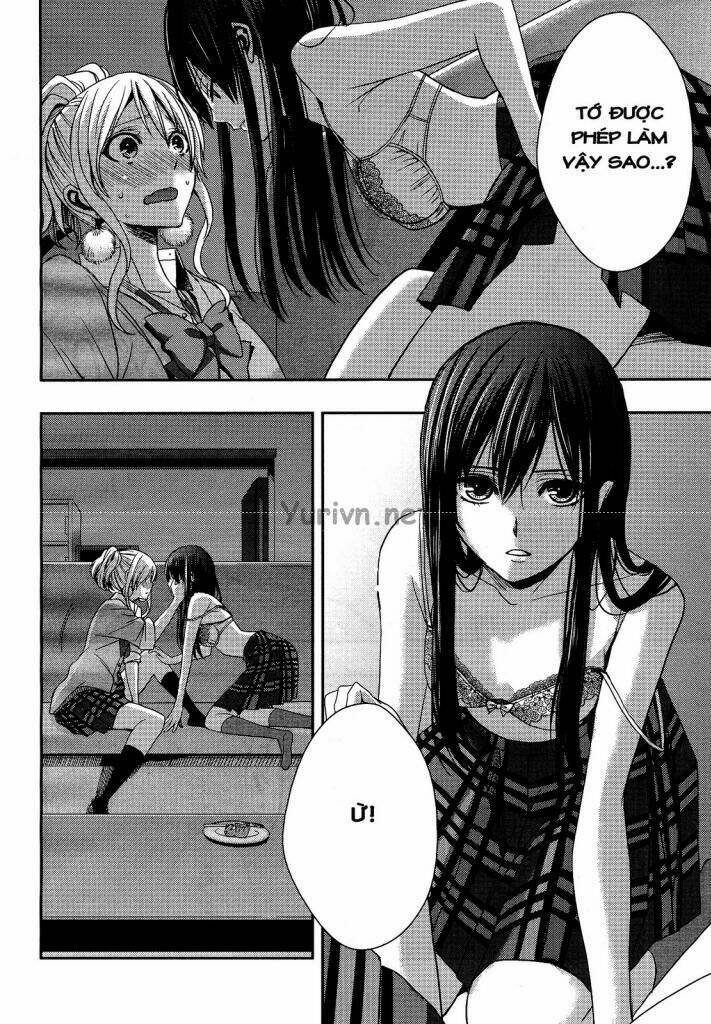 citrus-saburouta/4