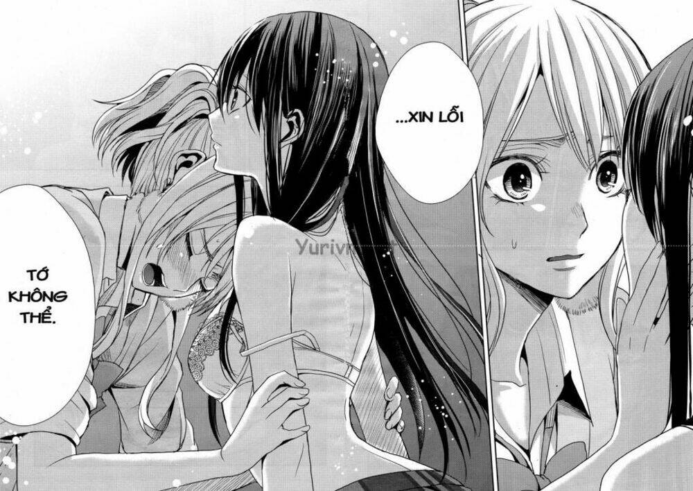 citrus-saburouta/6