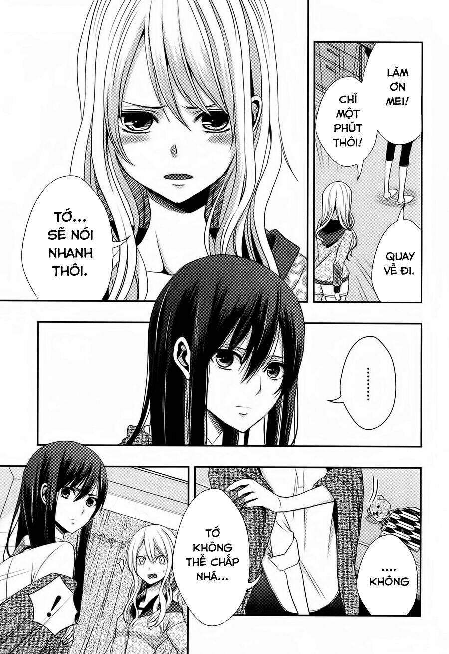 citrus-saburouta/16