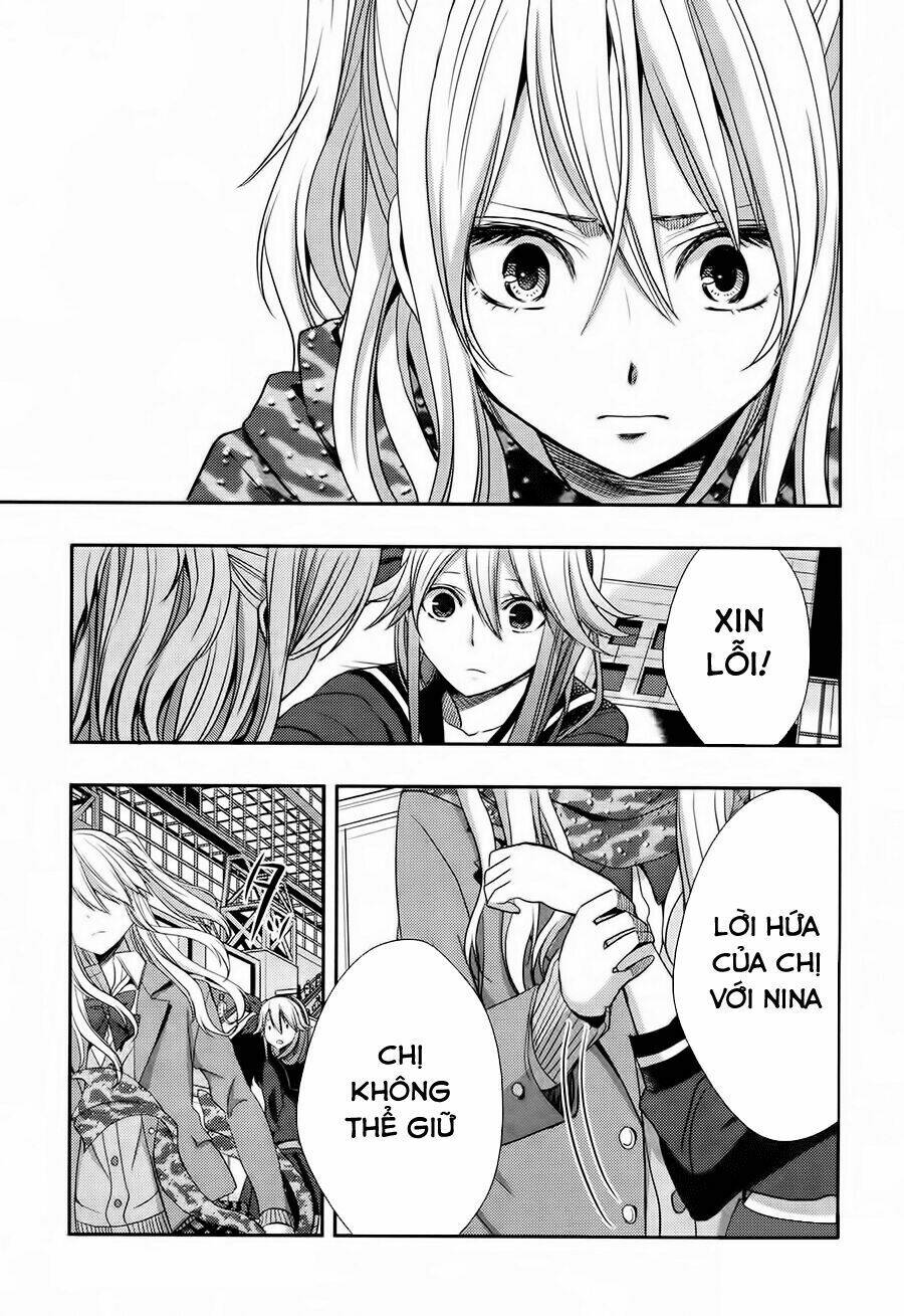 citrus-saburouta/32