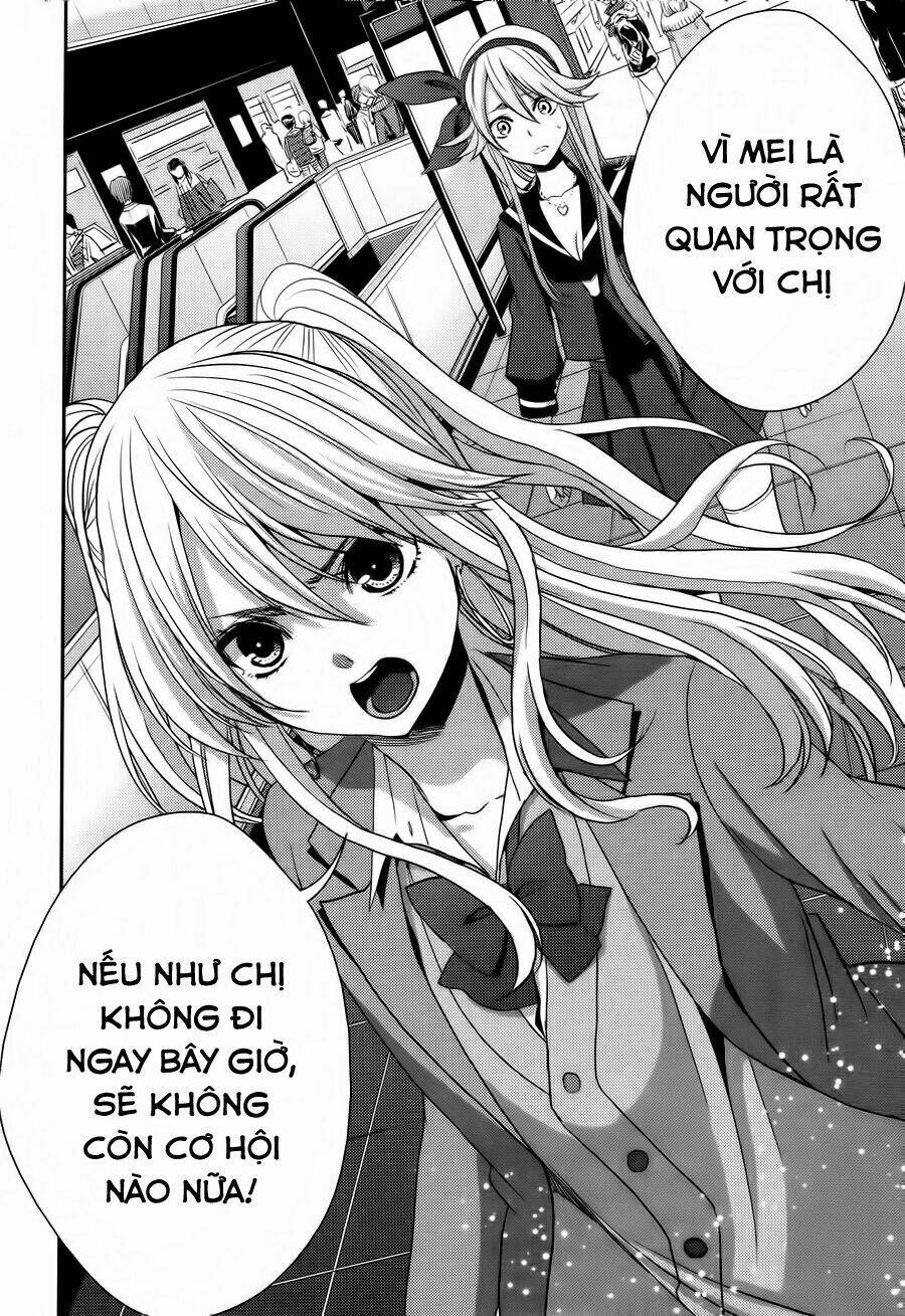 citrus-saburouta/34