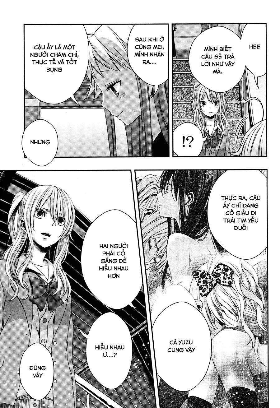 citrus-saburouta/12