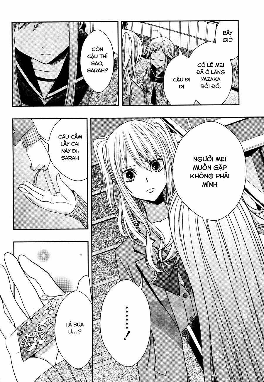 citrus-saburouta/13