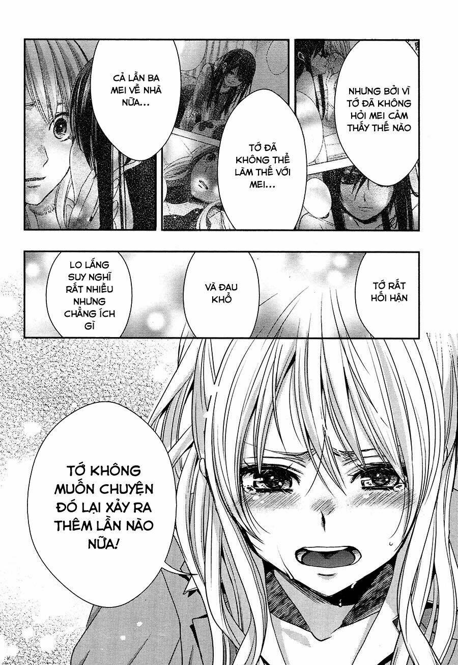 citrus-saburouta/27