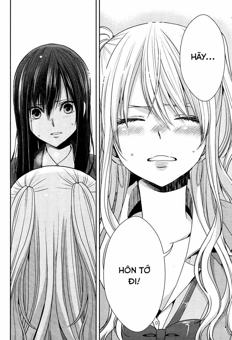 citrus-saburouta/29