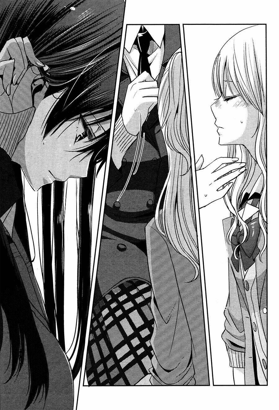 citrus-saburouta/30