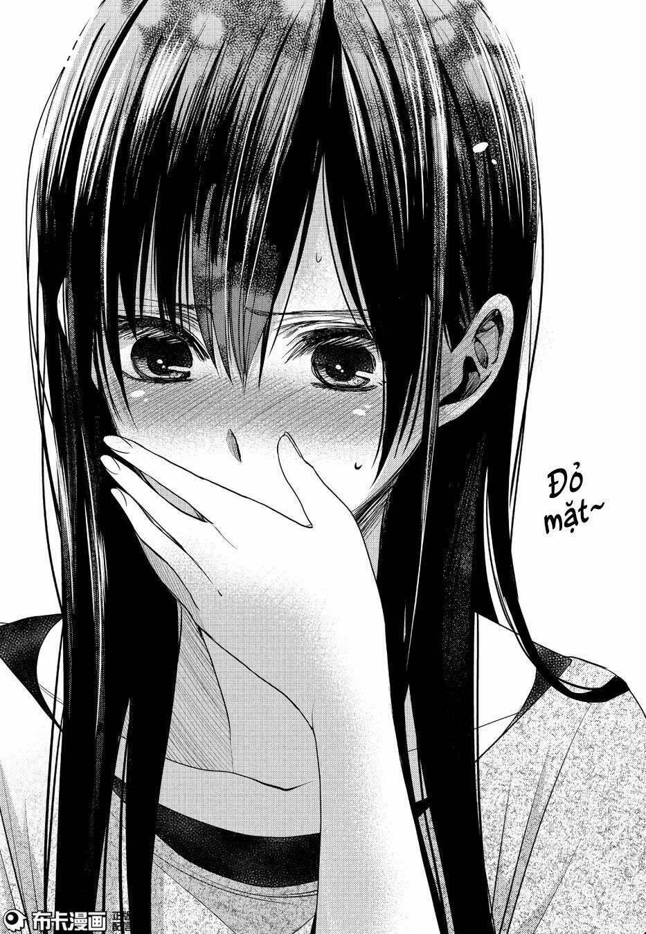 citrus-saburouta/25