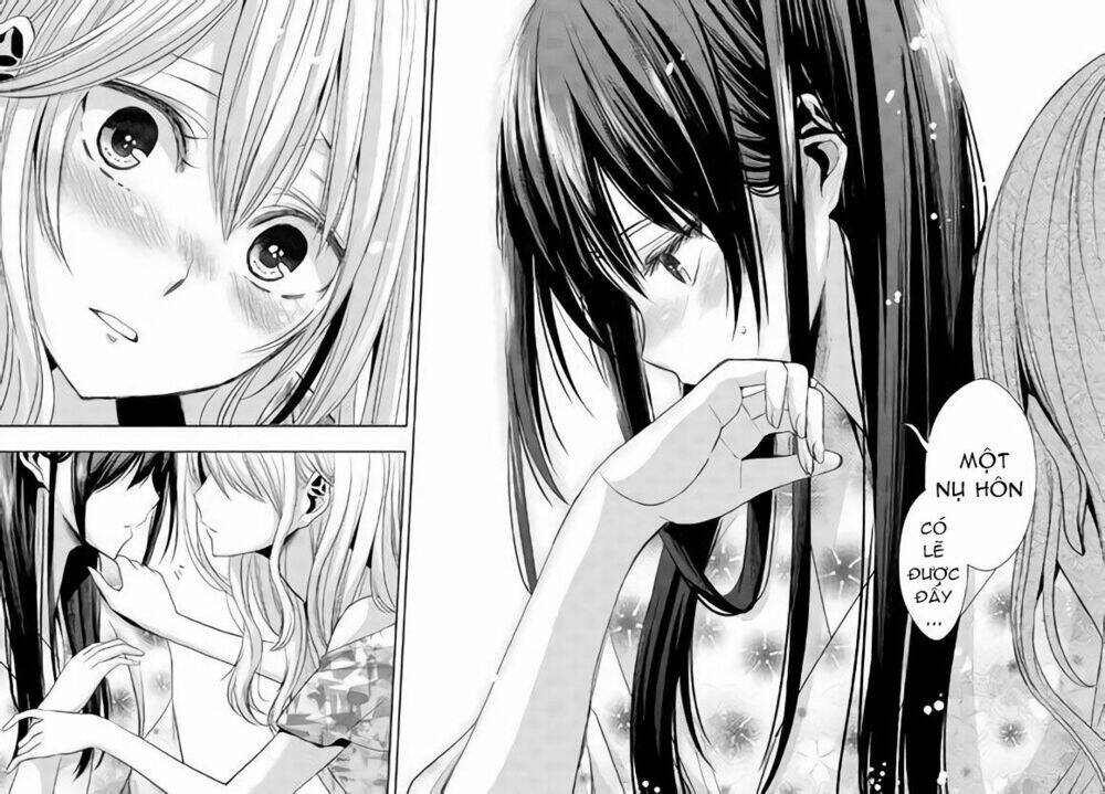 citrus-saburouta/26