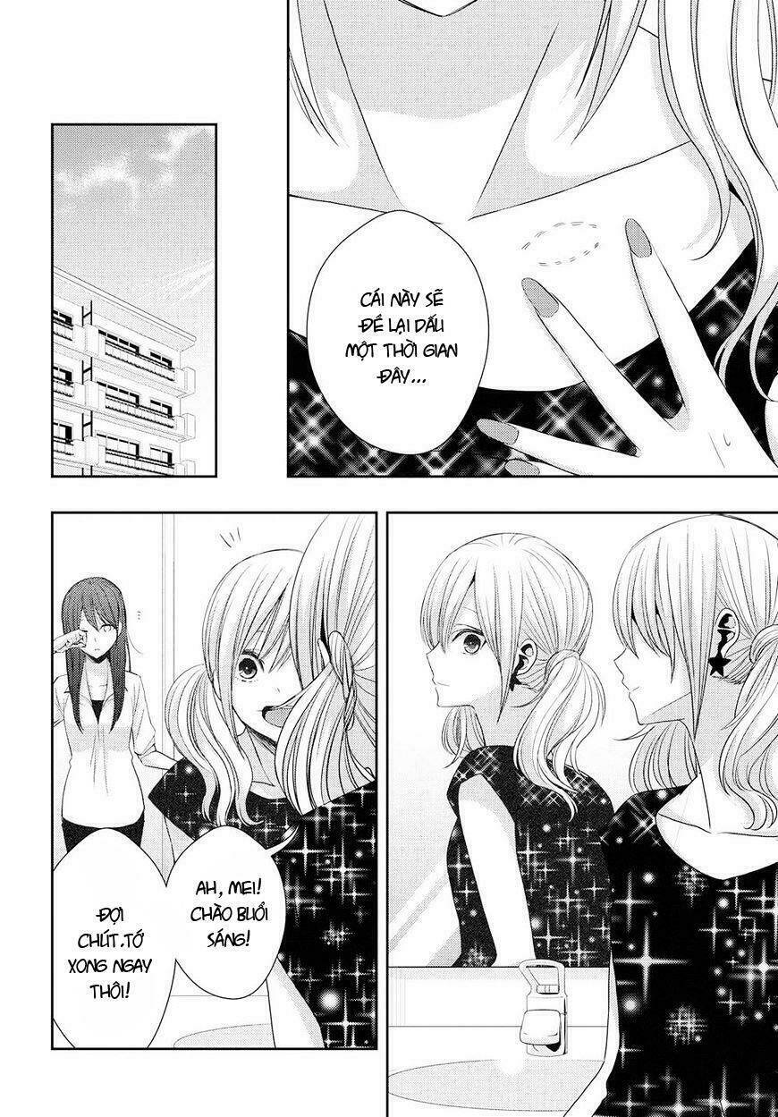 citrus-saburouta/4