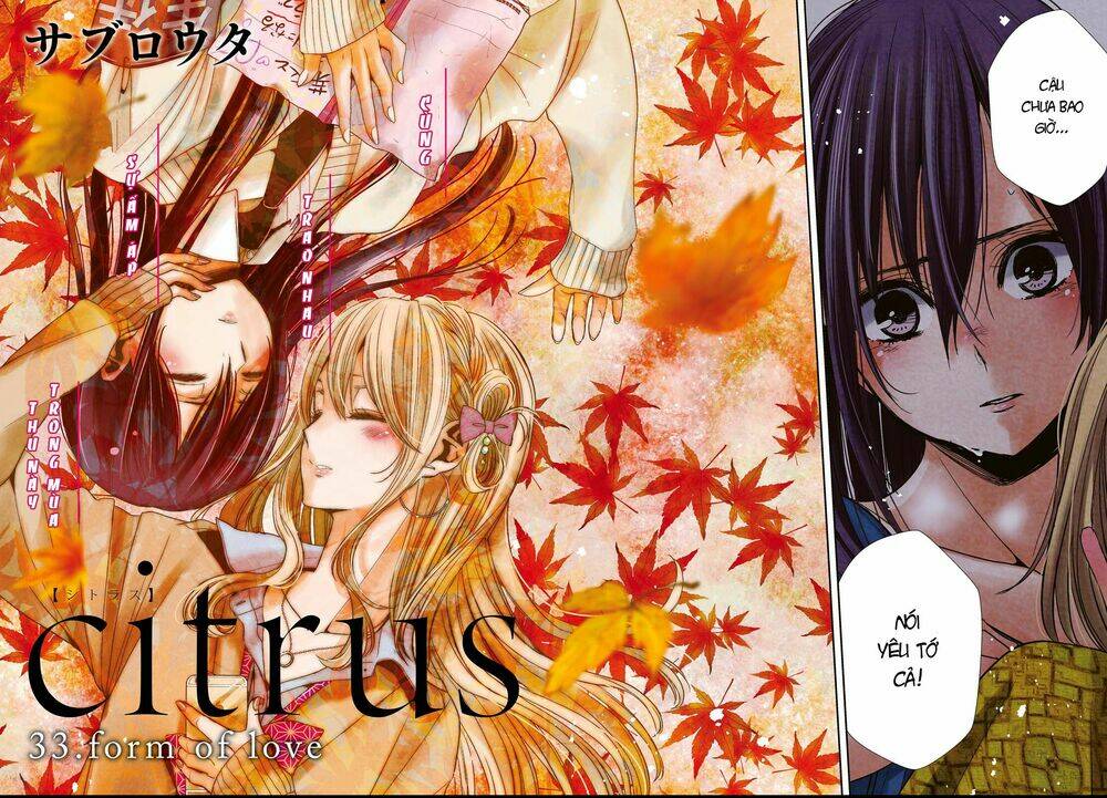 citrus-saburouta/2